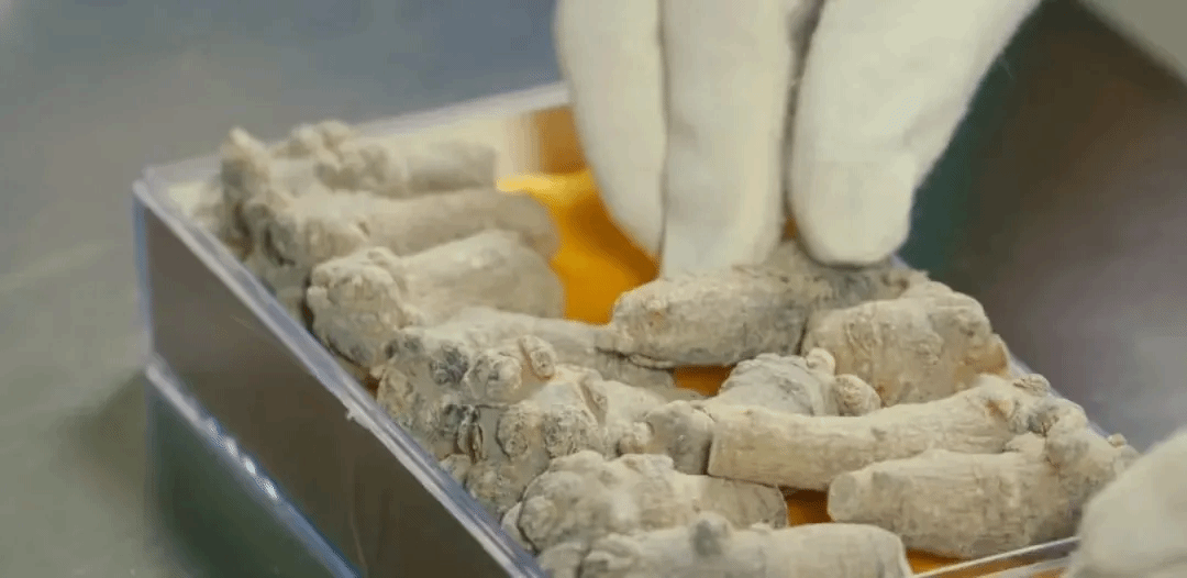 中国·永利yl23455(股份)有限公司-官方网站